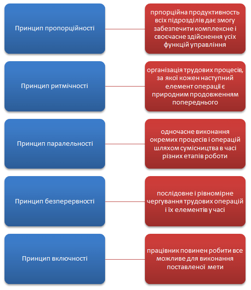 Принципи ефективної організації праці Принципи ефективної організації праці